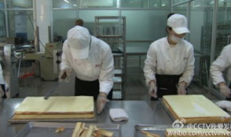 我爱发明视频大全